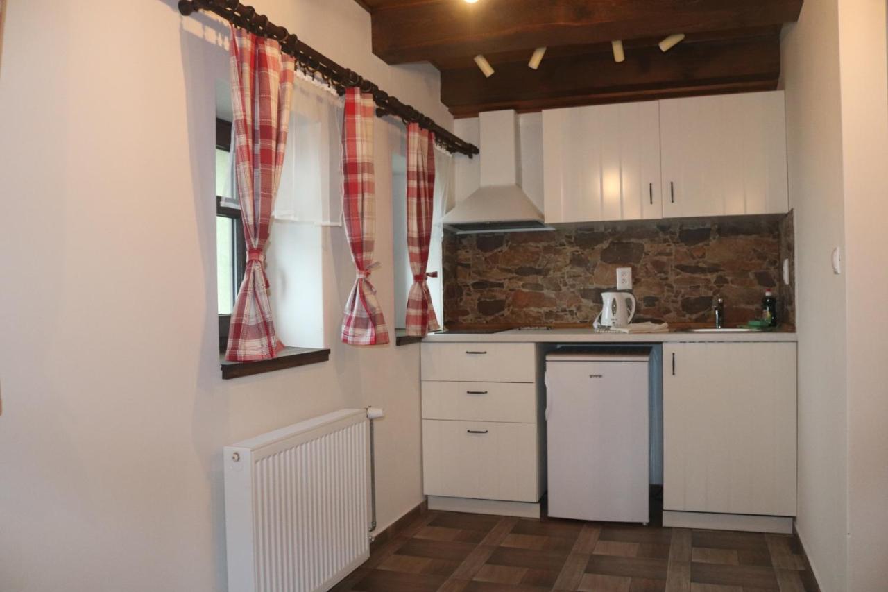 apartmány Kynast Albrechtice v Jizerskych horach Esterno foto