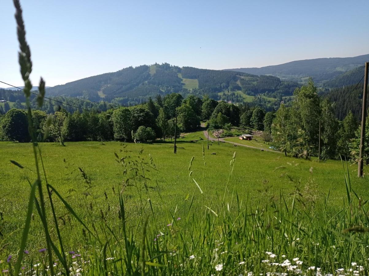 apartmány Kynast Albrechtice v Jizerskych horach Esterno foto