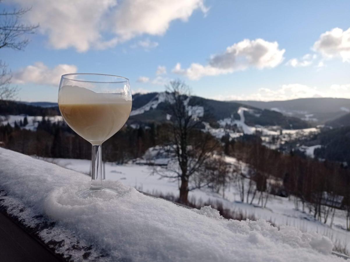 apartmány Kynast Albrechtice v Jizerskych horach Esterno foto